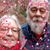 Karen Knieps Olson's profile image