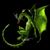 Frankie Melanson's profile image