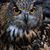 Richard Carson's profile image