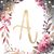 Amanda Jo's profile image