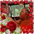 Chelsea David's profile image