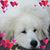 Valerie Wheeler's profile image