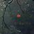 Lorie Geddes's profile image