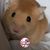 Carole Boyle's profile image
