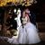 Michael Tamny's profile image