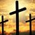 Laura Ramirez-Lonero's profile image