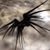 Adam Arthur's profile image