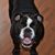Tracy Devault's profile image