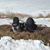 Marc Lancaric's profile image