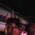 Verna Brown's profile image