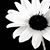 Maureen Painter's profile image