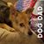 Shane Douget's profile image