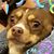 Mimi Panache's profile image