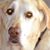 Amy Stapleton-Flask's profile image
