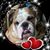 Tracey Christy's profile image