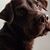 Natalie Duplechain's profile image