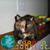 Kathy Albedyll's profile image