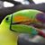 Linda Stapleton's profile image