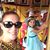 Bobbie Sue Green's profile image