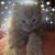 Melanie Stubbs Rogers Smith's profile image