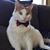 Vicky Johnson's profile image