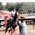 Patti Luehrs's profile image