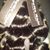 BelloHair LA DollHouse's profile image
