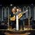 Diann Sherrets's profile image
