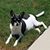 Rondi Mosteller's profile image