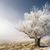 Michael Hersman's profile image