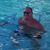 Greg McDuffie's profile image