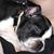 Kimberlee Koning's profile image