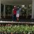 Debbe Lee Usry's profile image