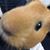 Tina Hayes's profile image