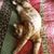 Lisa Bober's profile image