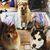 Karen Mapley Van Eck's profile image
