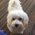 Betty Rowe's profile image
