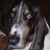 Michael Willis's profile image