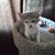 Linda Fleming's profile image
