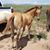 Amber Mccrory Shelton's profile image