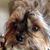 Linda Churchey's profile image