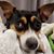 Jim Liucci's profile image