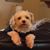 Nancy Keech Graumann's profile image
