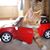 Susan Ullrich's profile image