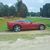 Marcus Limbrick's profile image