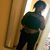 Elissa Simone's profile image
