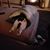 Sandy Day Irvin's profile image