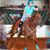 Karen Rotz's profile image