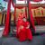 Nhan Tho Truong's profile image