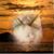MrsTrena Branscomb's profile image